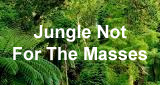 HearMe / Jungle Not For The Masses logo