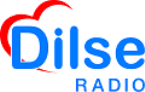 DilSe Radio logo