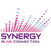 Synergy logo