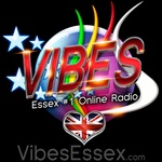 Vibes Essex UK logo