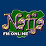 Naija FM UK 101.1 logo
