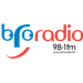 Bro Radio logo