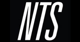 NTS Radio/Channel 2 logo